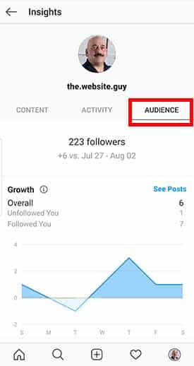 How to Post on Instagram When Followers Are Most Active - Stafford Technologies Step 2